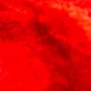 Meet your Posher, Natasha